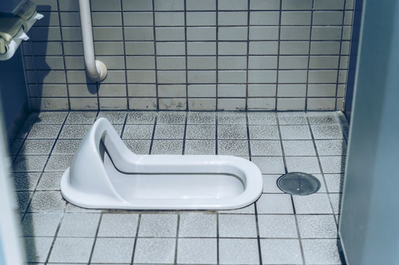 traditionelle-japanische-toilette0f7abfa132a602fb.jpg